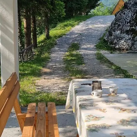 Aika Толмин